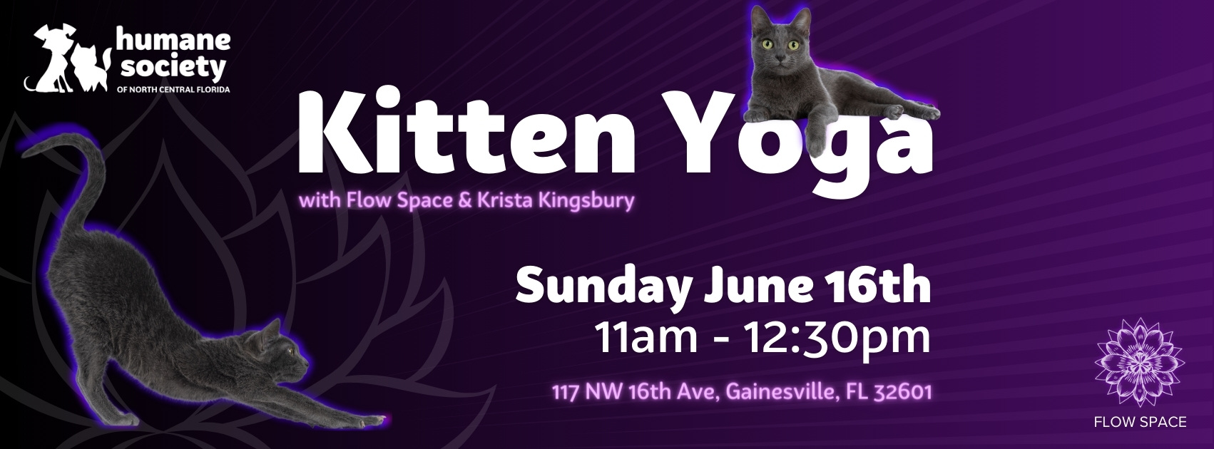 Cover photo for Kitten Yoga. Contains date tie and location. 
Sunday, June 16 from 11 am to 3 pm at Flow Space Yoga & Arts